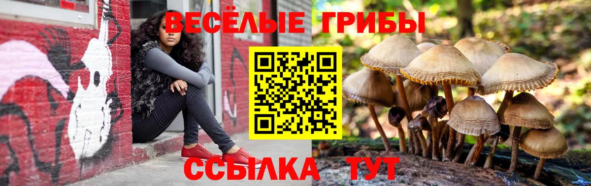 Воркута  Галлюциногенные грибы ЛСД  Вход с VPN 