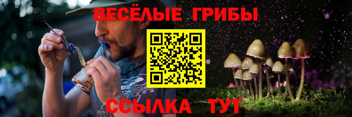 Галлюциногенные грибы MAGIC MUSHROOMS Воркута